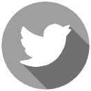 twitter icon